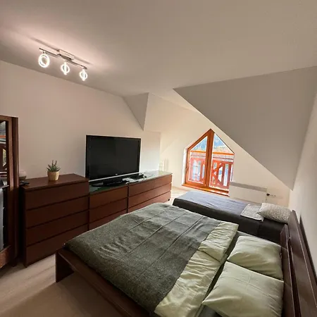 Vitkovice 405 Apartment *